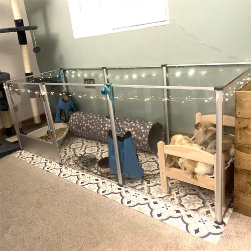 Dog whelping pen - in,