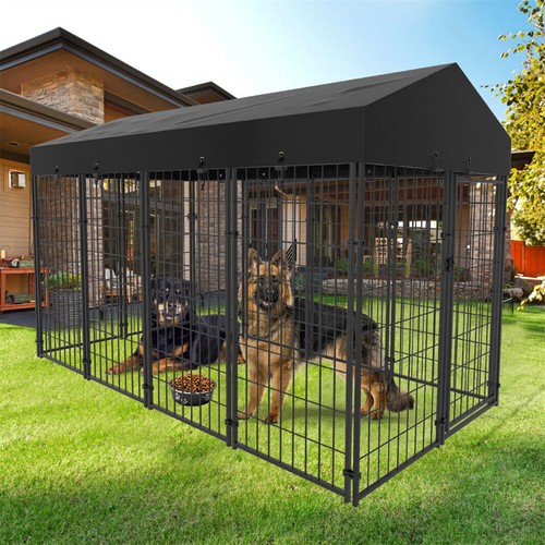 Xxl large dog - dog, enclosure