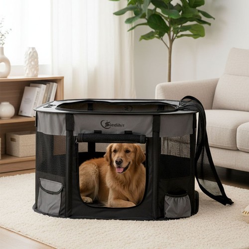 Collapsible folding cat - folding,