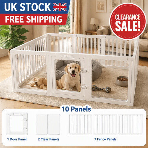 Clearance sale clear arlic dog - clear,