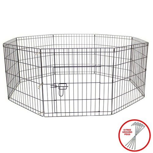 Petbarn dog puppy rabbit - petbarn,