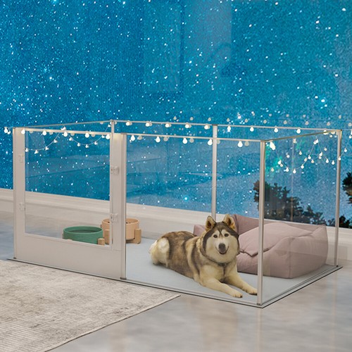 Large clear acrylic dog - acrylic,