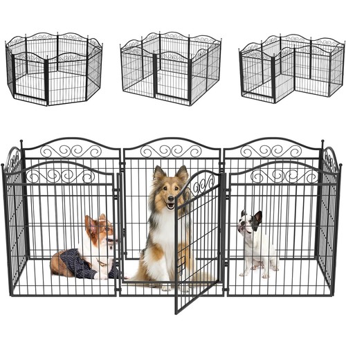 Bingopaw panels dog play - 8,